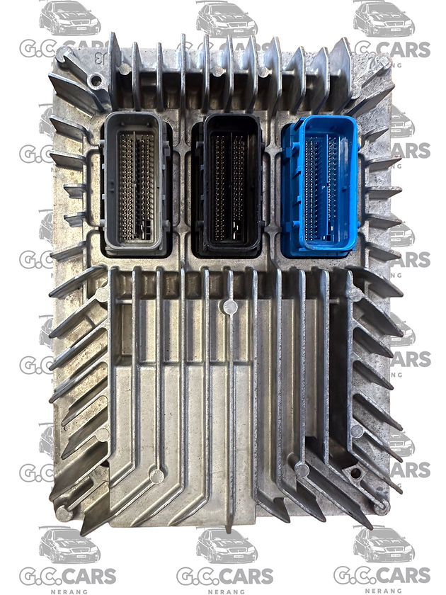 HOLDEN COMMODORE ALDELCO ECU E39A 12653998 3998