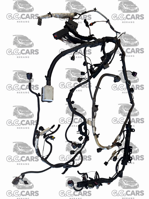 LYZ M82 AUTO ENGINE LOOM (EARLY TYPE) HOLDEN COMMODORE GENUINE GM