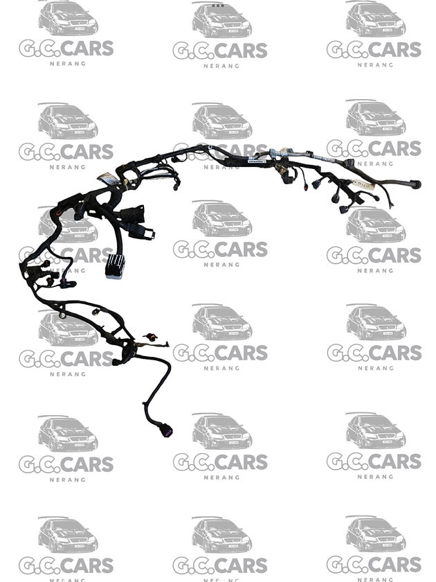 SERIES 1 LY7/M82 HOLDEN COMMODORE LOOM