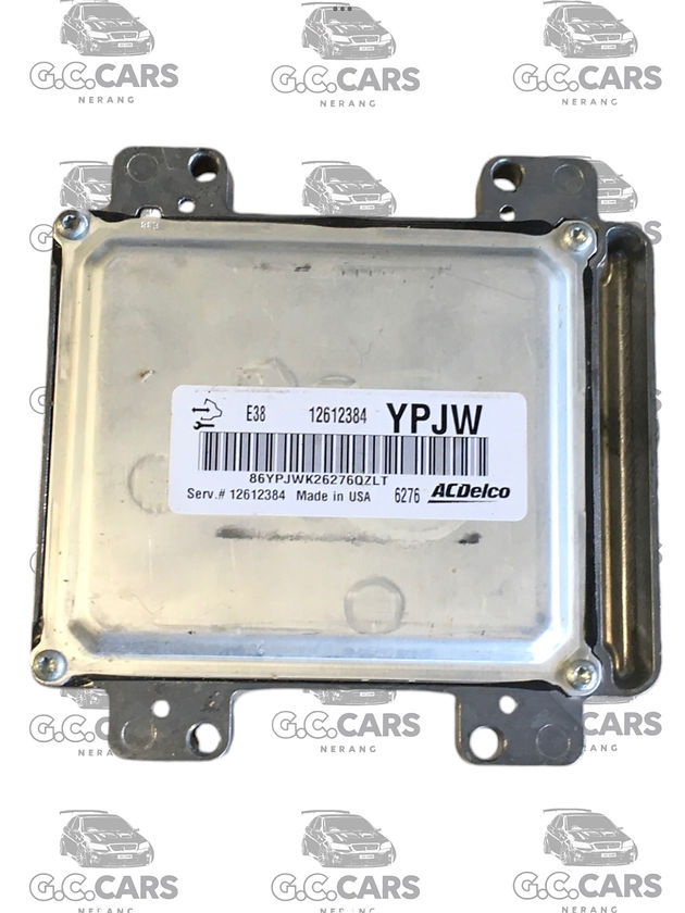 E38 VE HOLDEN ECU