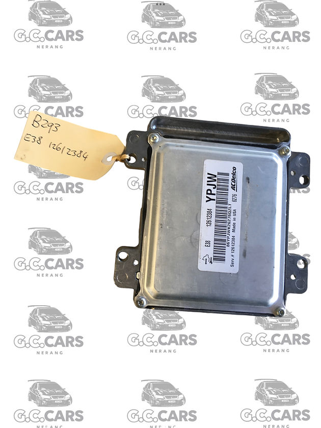 E38 VE HOLDEN ECU