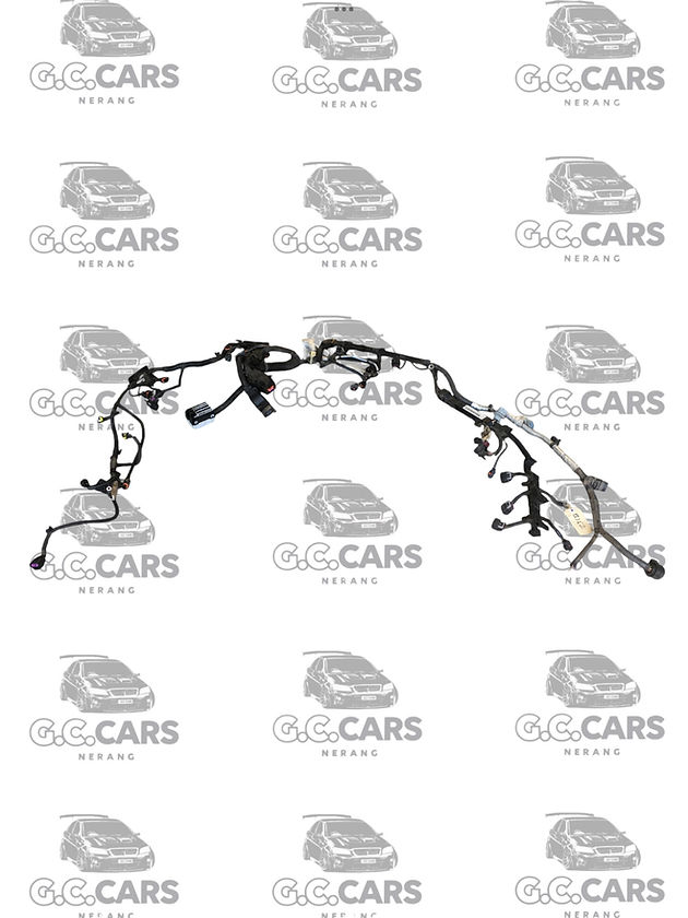 SERIES 1 LY7/M82 HOLDEN COMMODORE LOOM