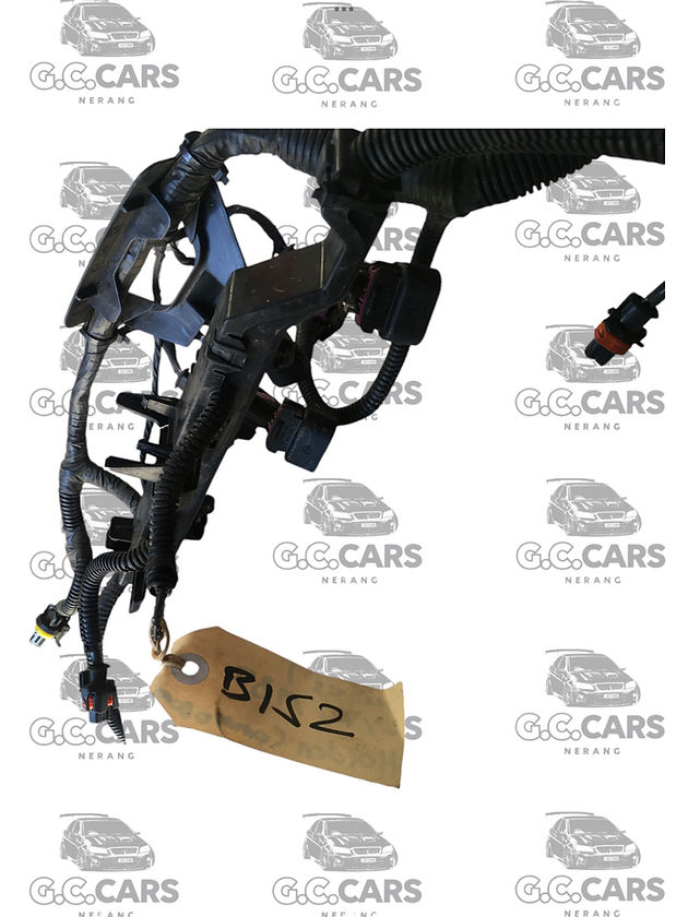 SERIES 1 LY7/M82 HOLDEN COMMODORE LOOM