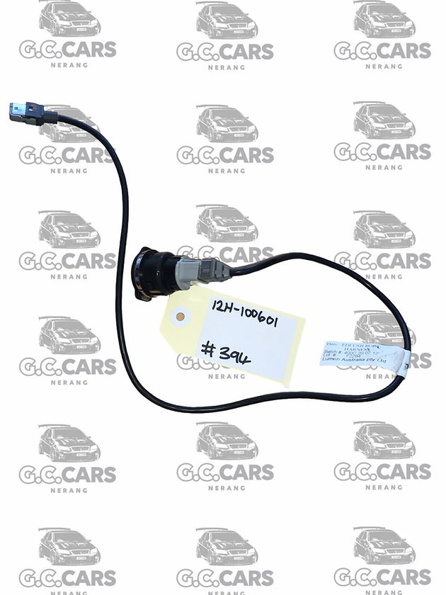 HOLDEN COMMODORE GENUINE GM HSV Edi Usb Port Harness VF Models