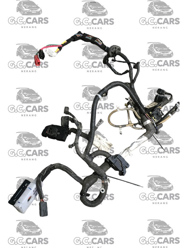 VE SERIES 1 L76 AUTO V8 SIDE HARNESS