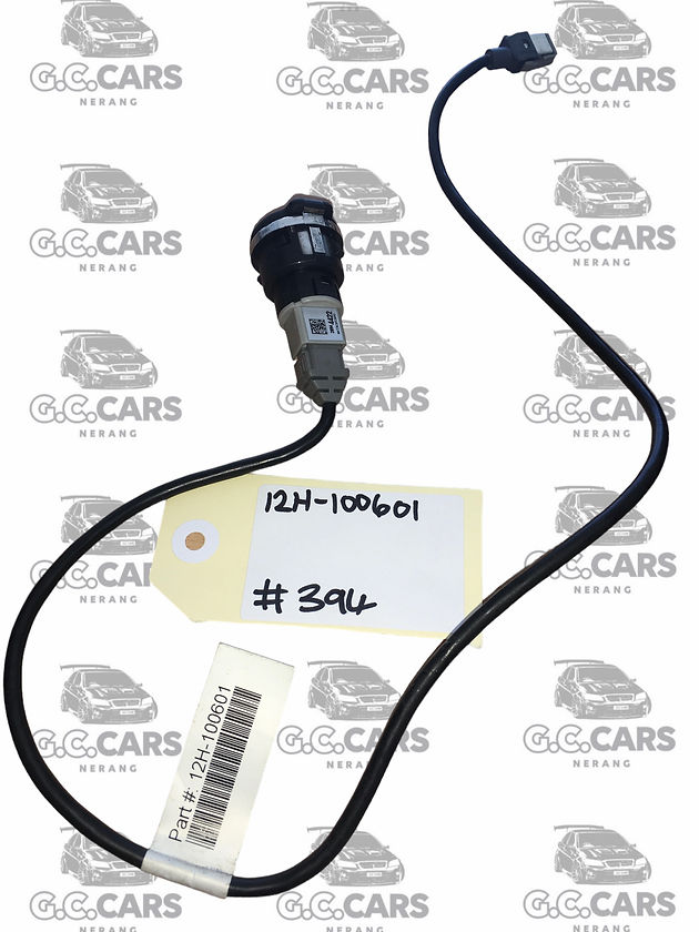 HOLDEN COMMODORE GENUINE GM HSV Edi Usb Port Harness VF Models