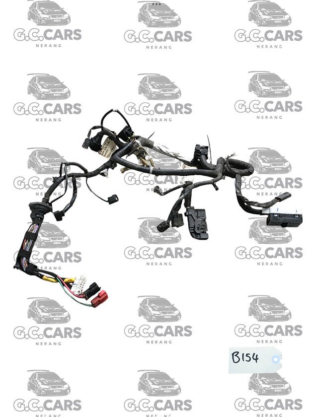 VE SERIES 1 L76 AUTO V8 SIDE HARNESS