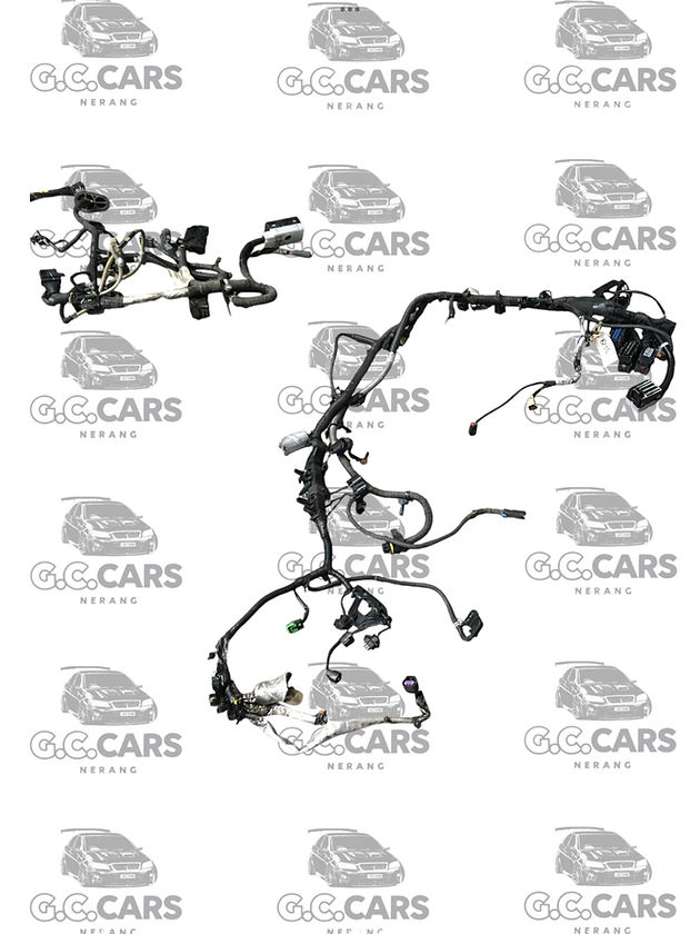 VE LFX AUTO ENGINE LOOM