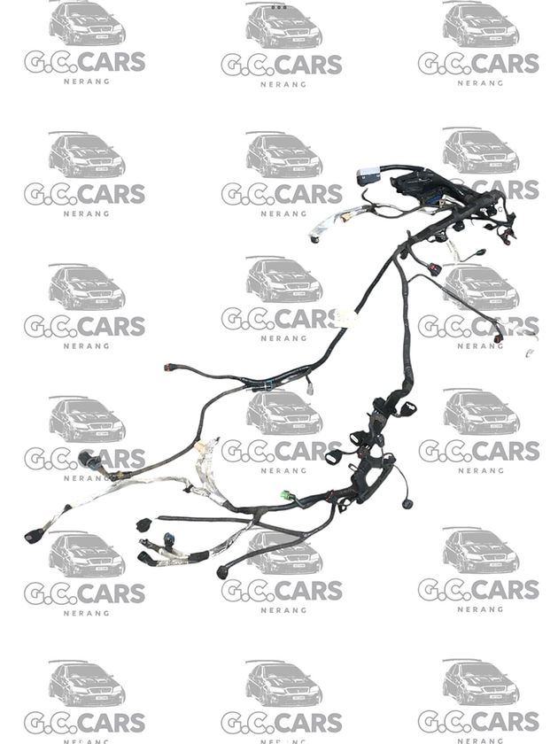 Holden Commodore LF1 MANUAL 3.0 ENGINE LOOM