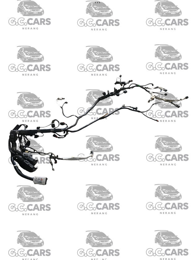 Holden Commodore LF1 MANUAL 3.0 ENGINE LOOM