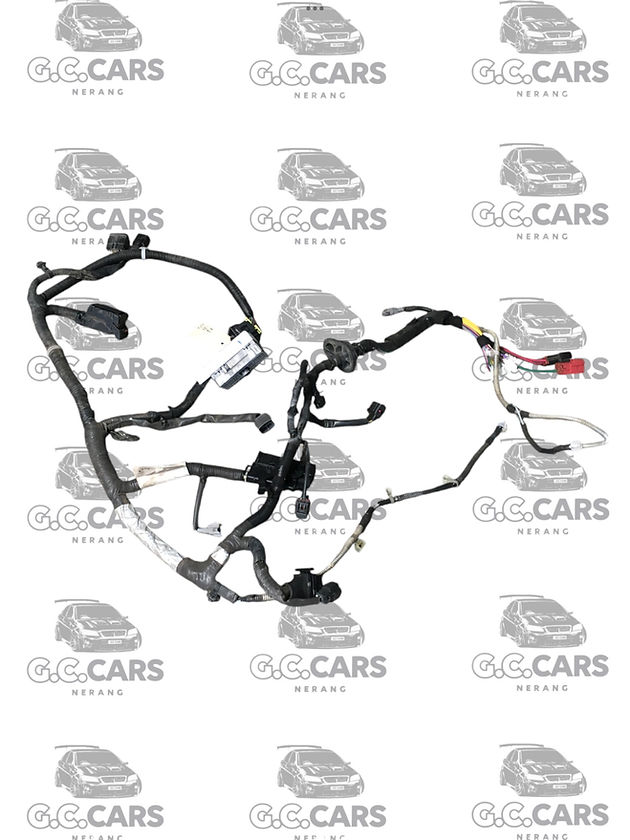 SERIES 1 VE V8 SIDE HARNESS