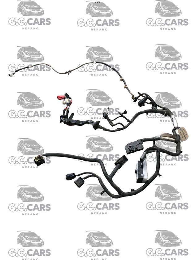 SERIES 1 VE V8 SIDE HARNESS
