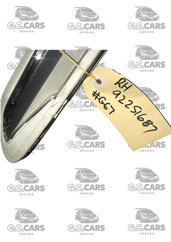 HSV RH GUARD INDICATOR FLASHER WN STATESMAN CAPRICE HOLDEN COMMODORE GENUINE GM