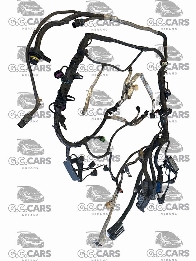 VE LF1 AUTO ENGINE LOOM HOLDEN COMMODORE GENUINE GM