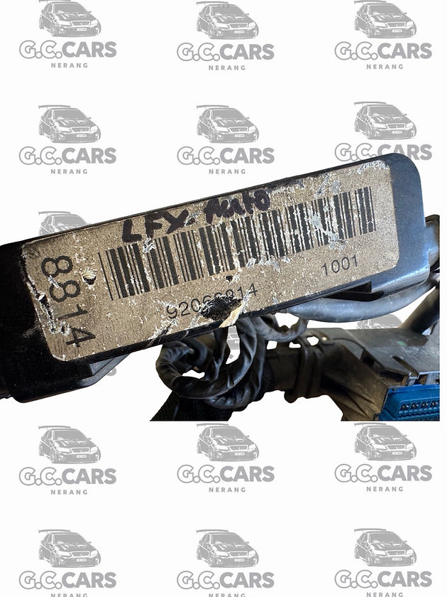 VE LF1 AUTO ENGINE LOOM HOLDEN COMMODORE GENUINE GM