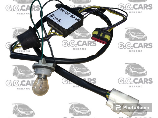 HOLDEN COMMODORE HSV TAIL LIGHT MODULE
