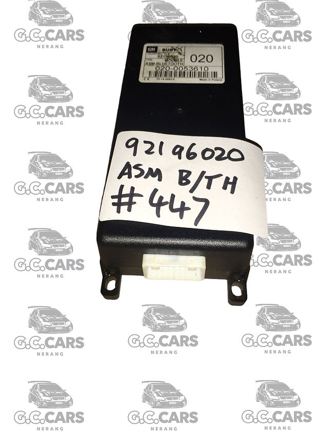 VE SS SSV HSV Calais Statesman ASM bluetooth module S1 HOLDEN COMMODORE GENUINE