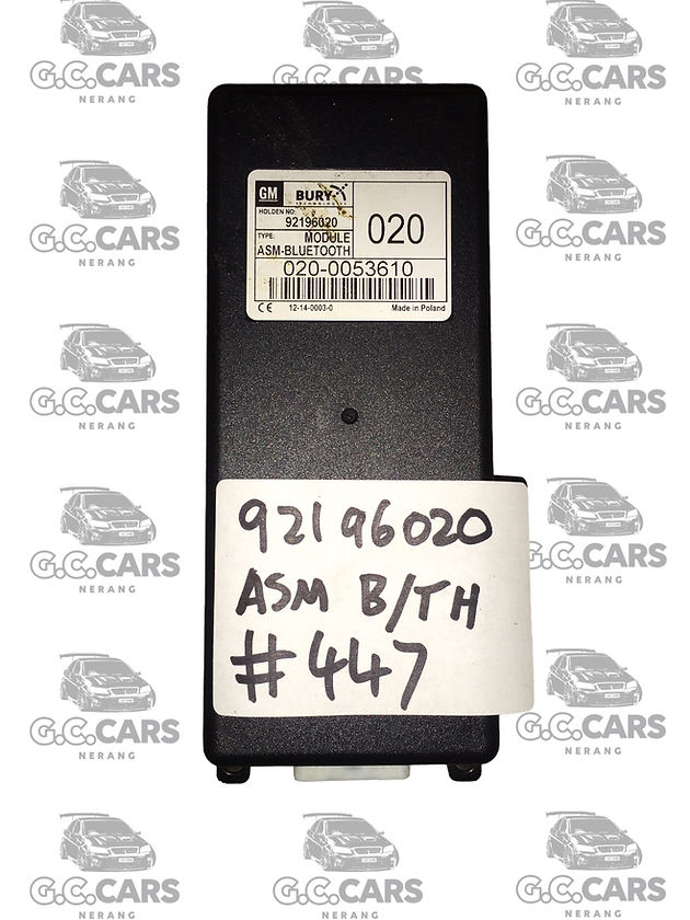 VE SS SSV HSV Calais Statesman ASM bluetooth module S1 HOLDEN COMMODORE GENUINE