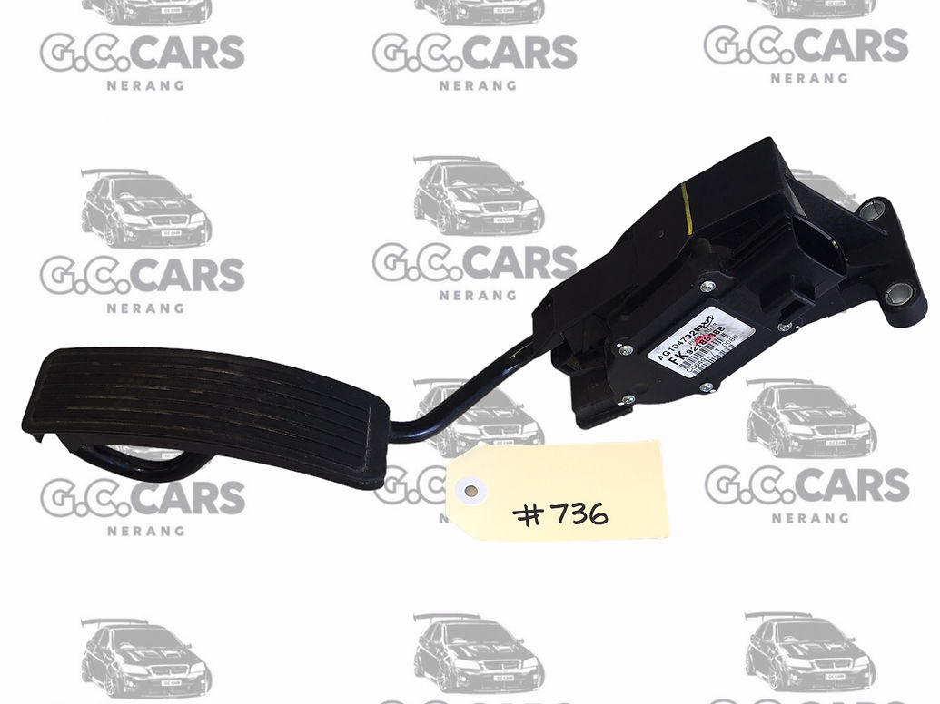 HOLDEN COMMODORE GENUINE GM VZ V6 Accelerator Pedal