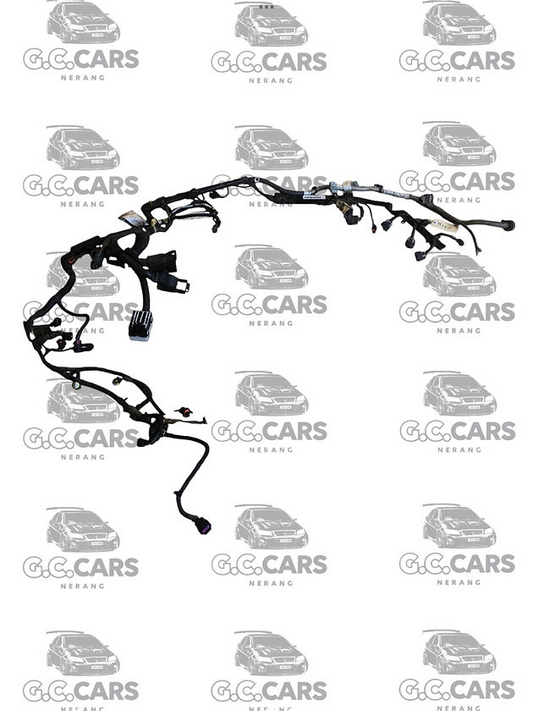 SERIES 1 LY7/M82 HOLDEN COMMODORE LOOM