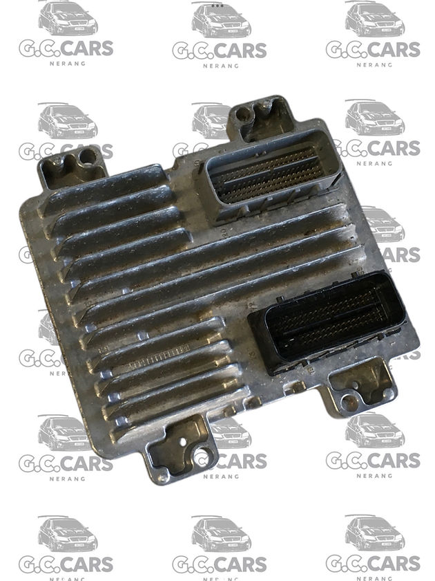 E38 VE HOLDEN ECU