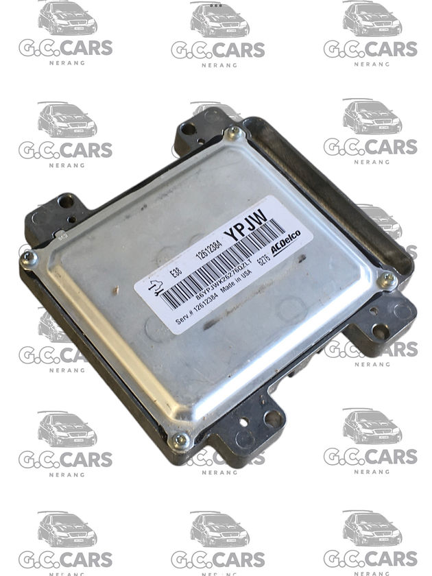 E38 VE HOLDEN ECU