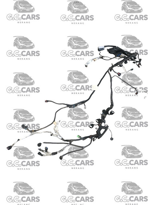 Holden Commodore LF1 MANUAL 3.0 ENGINE LOOM