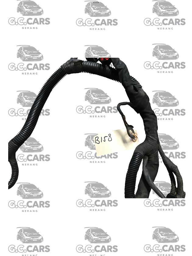 VE V8 L77 AUTO ENGINE LOOM