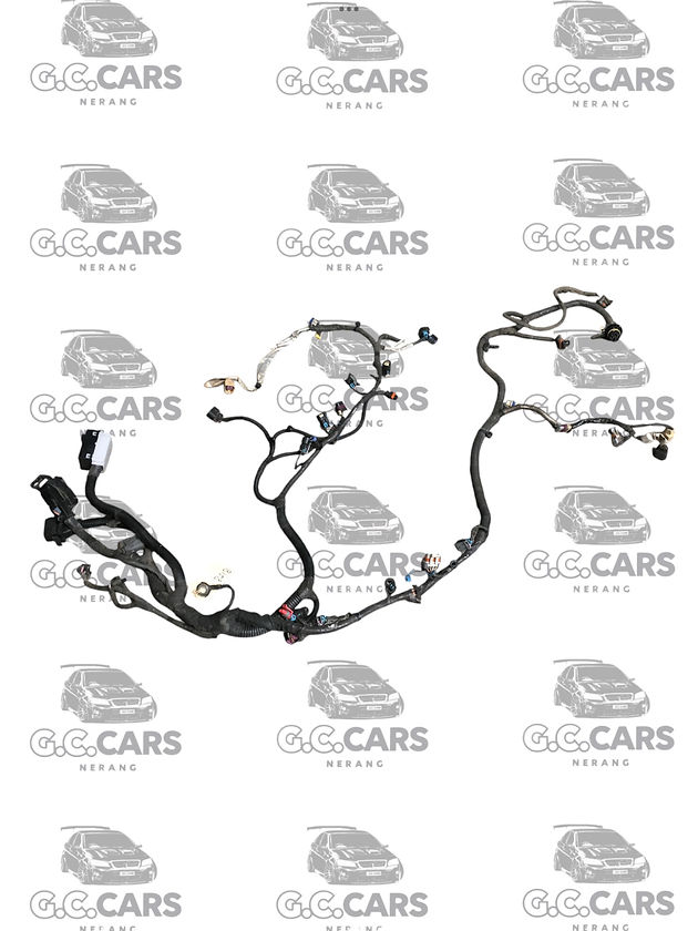 VE V8 L77 AUTO ENGINE LOOM