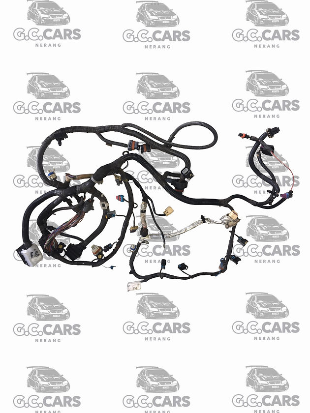 VE SERIES 1 L98 AUTO ENGINE LOOM