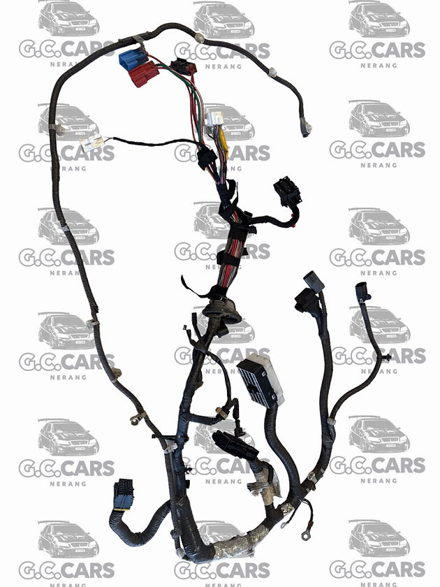 VE S1 LEO SIDE HARNESS HOLDEN COMMODORE GENUINE GM