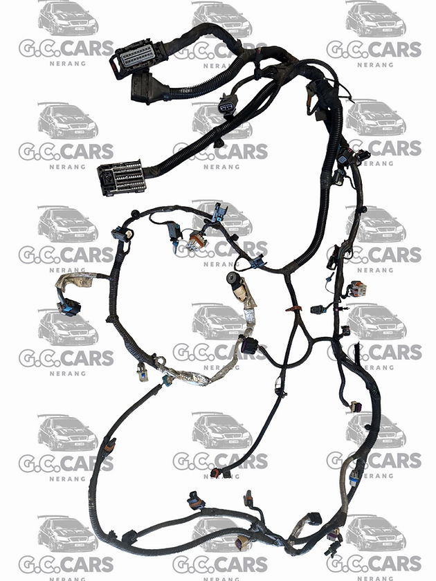 VE V8 L77 MANUAL ENGINE LOOM HOLDEN COMMODORE GENUINE GM