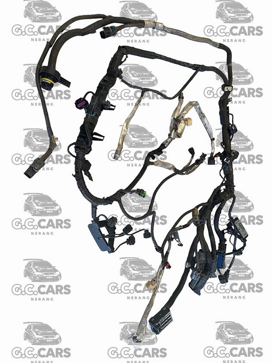 VE LF1 AUTO ENGINE LOOM HOLDEN COMMODORE GENUINE GM