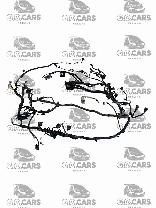 VF LFX AUTO LOOM HOLDEN COMMODORE GENUINE GM